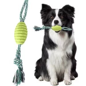 Juguete para perro 2 en 1: Cuerda para tirar y bola para masticar